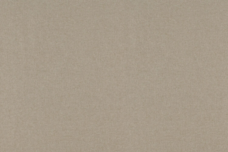 Beky 119 velbloud