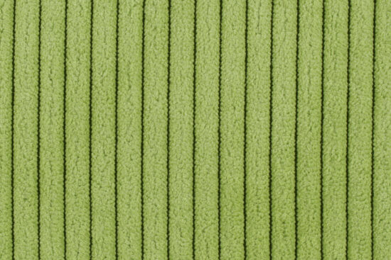 Cora 618 limetka (detail 1)