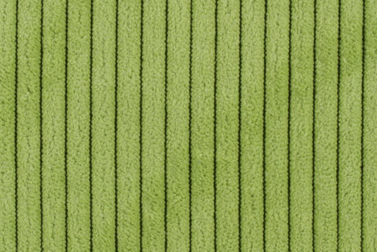 Cora 618 limetka (detail 2)