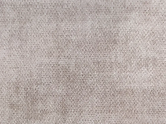 Modeste II 119 velbloud