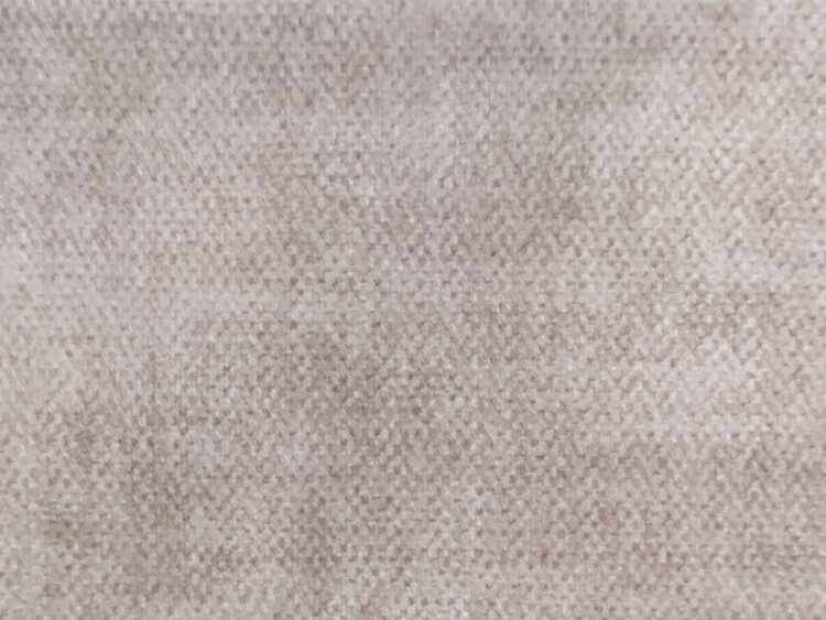 Modeste II 119 velbloud